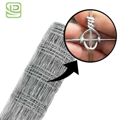Maille de clôture à joints fixes en cerf galvanisé
