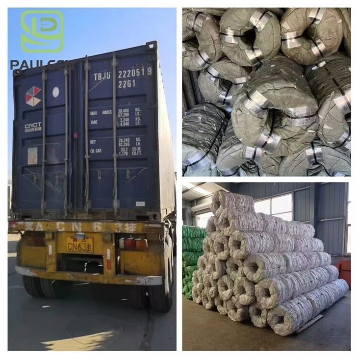 Stainless Steel Galvanized Razor Barbed Wire Stainless Steel Galvanized Razor Barbed Wire